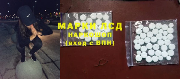 шишки Приозерск