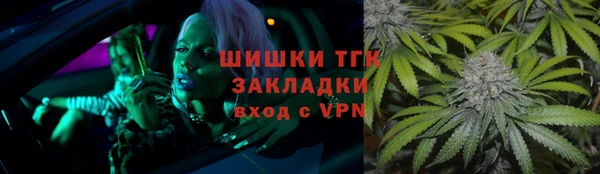 шишки Приозерск