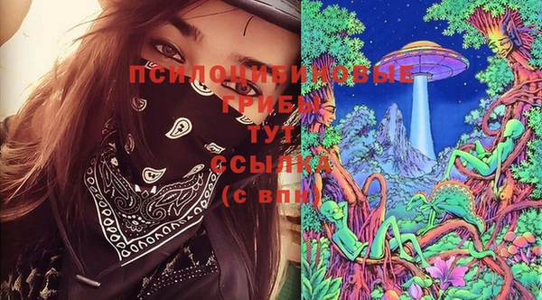 шишки Приозерск