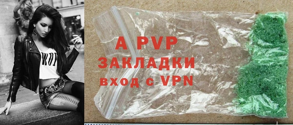 шишки Приозерск