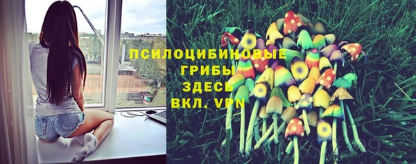 шишки Приозерск