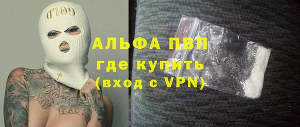 шишки Приозерск