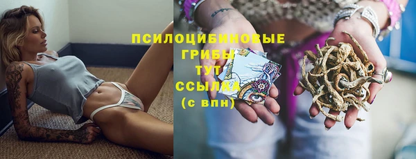 прущие крисы Пролетарск