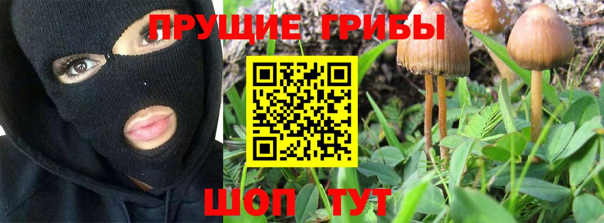 Галлюциногенные грибы MAGIC MUSHROOMS  Вход с VPN  Соликамск 